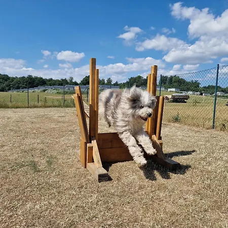 Ostseeferienpark Walkyrien - Offizier 15